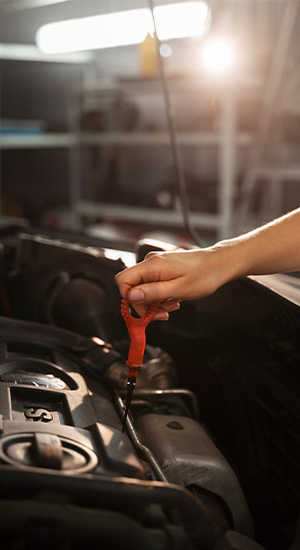 Engine Diagnosis